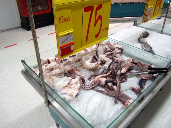 Frischer Tintenfisch Supermarkt